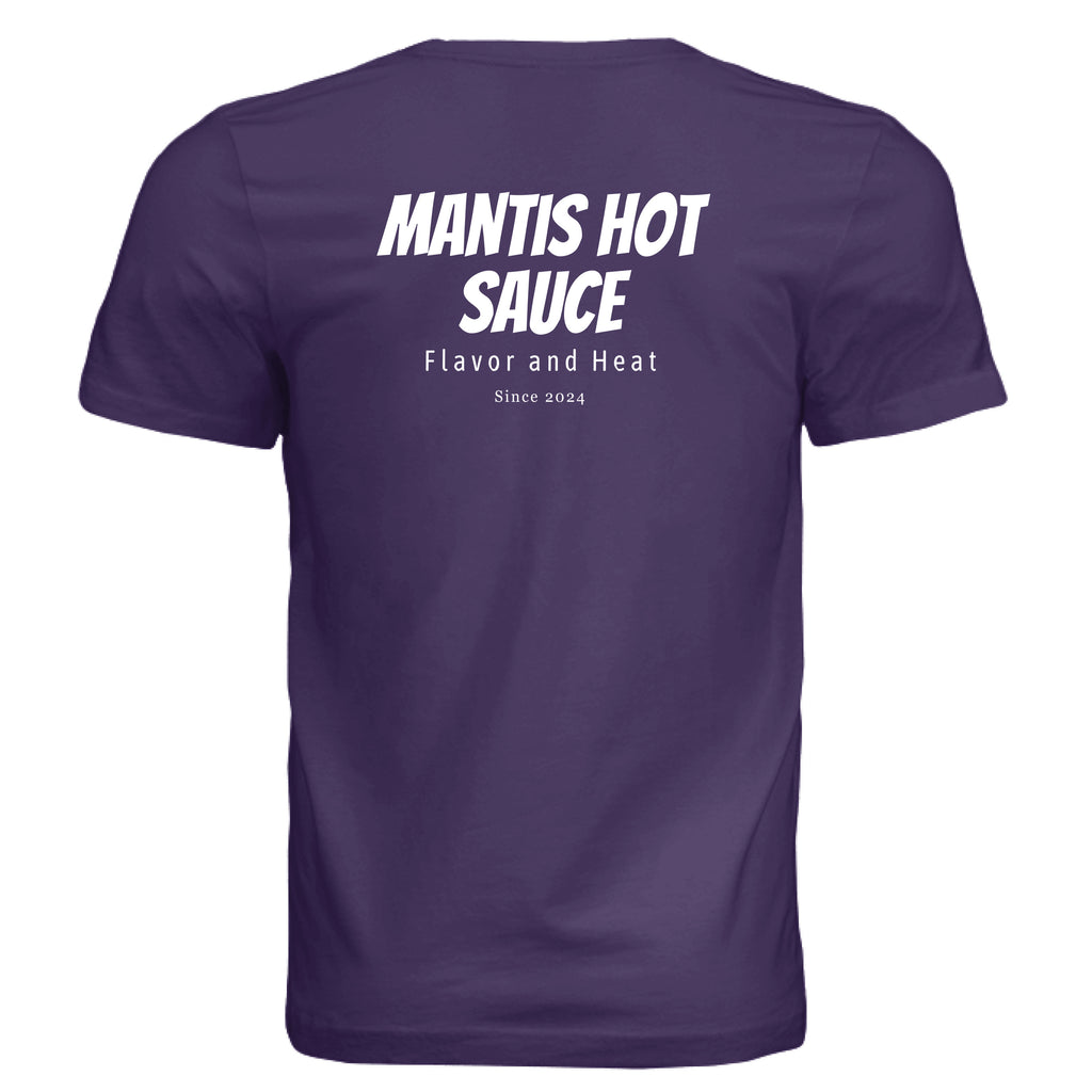 Solid Team Purple Triblend - BACK