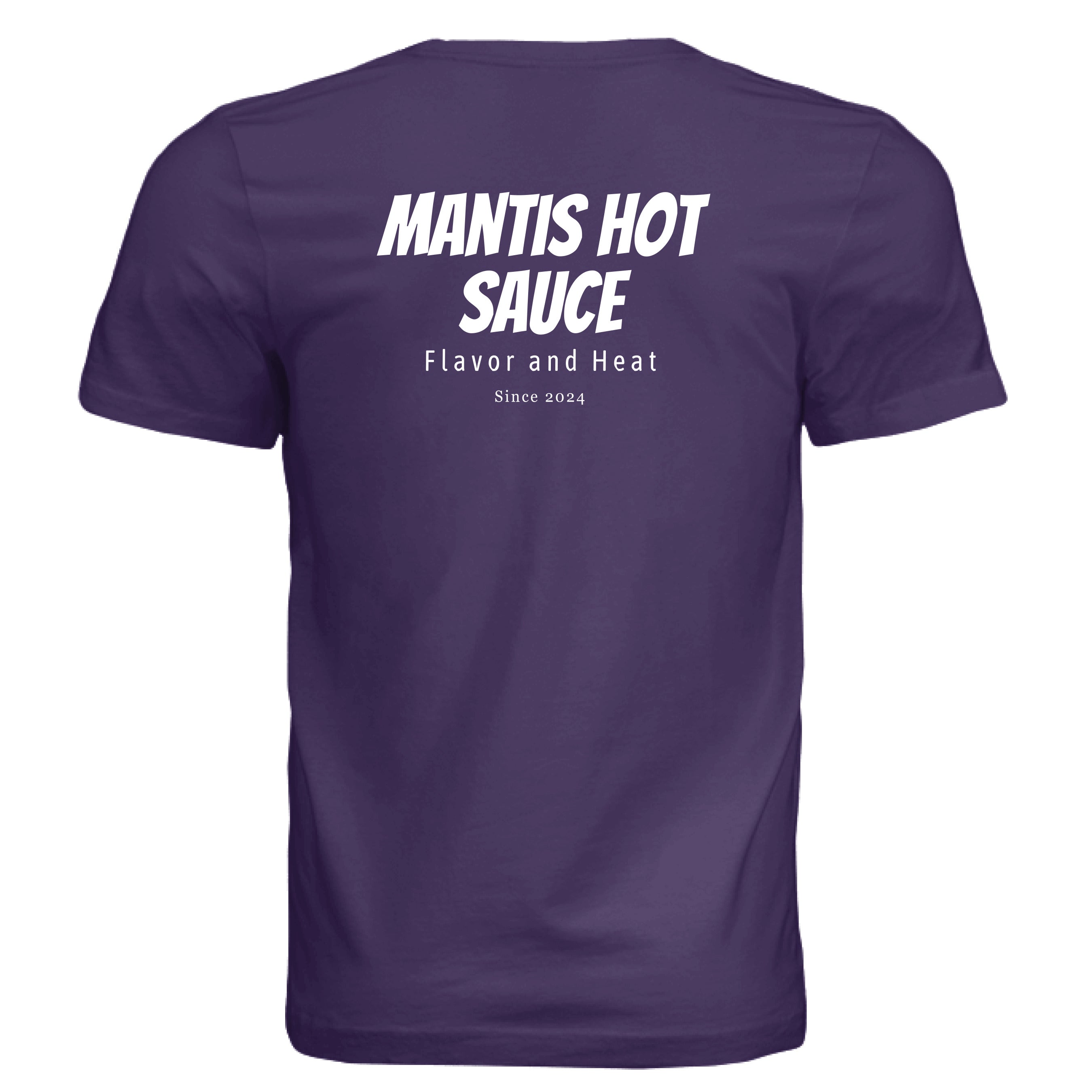 Solid Team Purple Triblend - BACK